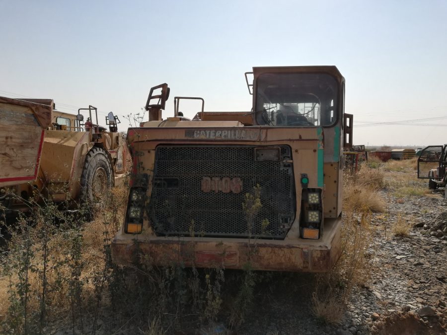 2019–20 auction asset